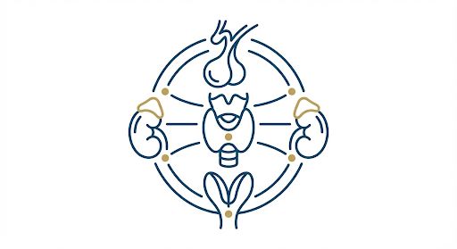 Equilíbrio Hormonal